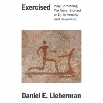 Download Exercised: Why Something We Never Evolved to Do Is Healthy and Rewarding by Daniel Lieberman