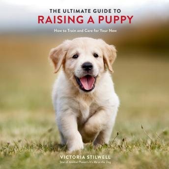 The Ultimate Guide to Raising a Puppy: How to Train and Care for Your New Dog