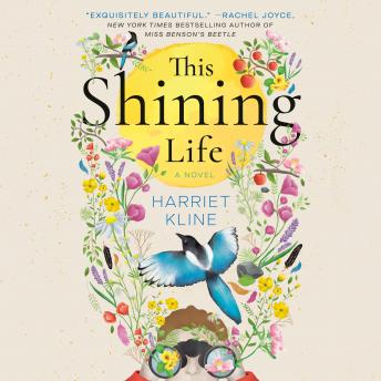 This Shining Life: A Novel