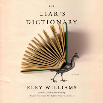 The Liar's Dictionary: A Novel