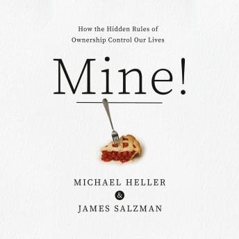 Mine!: How the Hidden Rules of Ownership Control Our Lives