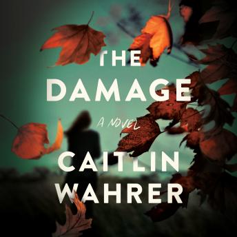 Damage: A Novel sample.