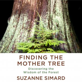 Finding the Mother Tree: Discovering the Wisdom of the Forest, Audio book by Suzanne Simard