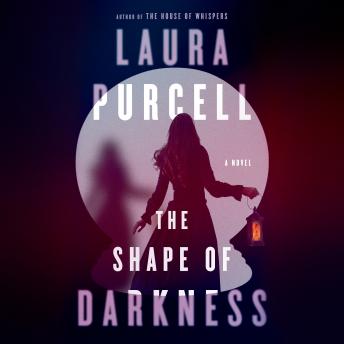 The Shape of Darkness: A Novel