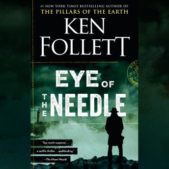 Eye of the Needle: A Novel sample.
