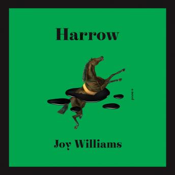 Harrow: A novel (Kirkus Prize)