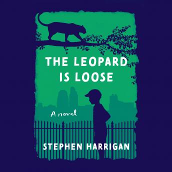 Leopard Is Loose: A novel, Audio book by Stephen Harrigan