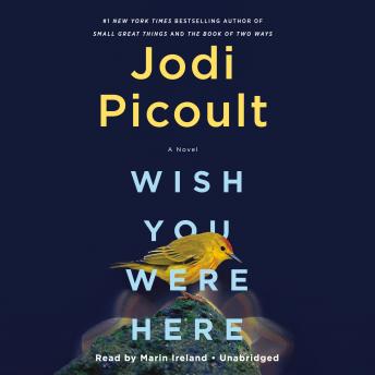 Wish You Were Here: A Novel, Jodi Picoult