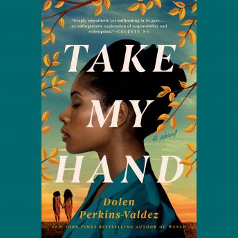 Download Take My Hand by Dolen Perkins-Valdez