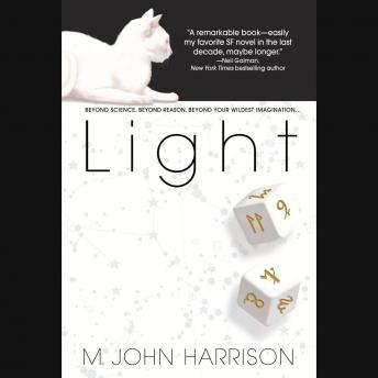 Light: A Novel sample.