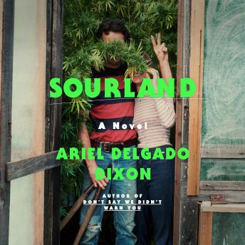 Sourland: A Novel