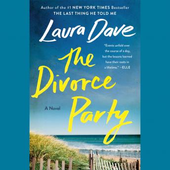 Divorce Party: A Novel, Audio book by Laura Dave