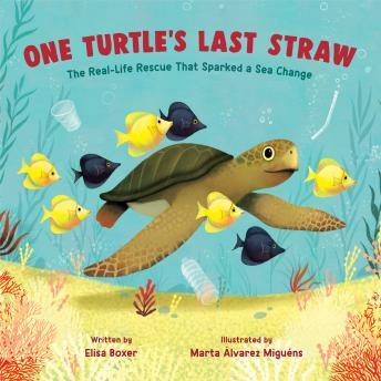 One Turtle's Last Straw: The Real-Life Rescue That Sparked a Sea Change, Elisa Boxer