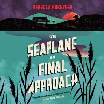 The Seaplane on Final Approach: A Novel