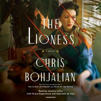 Download Lioness: A Novel by Chris Bohjalian