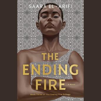 The Ending Fire: A Novel