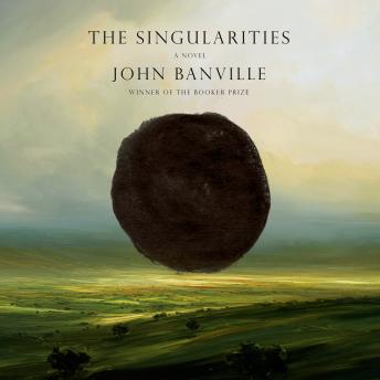 The Singularities: A Novel