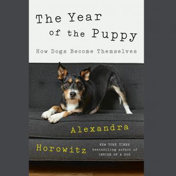 The Year of the Puppy: How Dogs Become Themselves