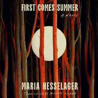 First Comes Summer: A Novel