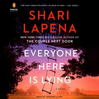 Everyone Here Is Lying: A Novel