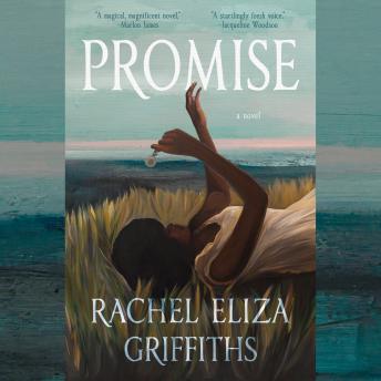Promise: A Novel sample.