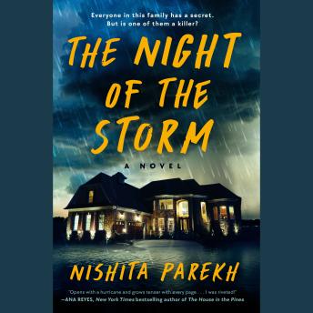 The Night of the Storm: A Novel