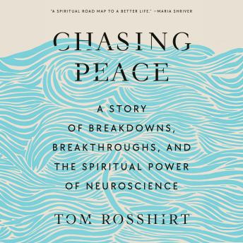 Chasing Peace: A Story of Breakdowns, Breakthroughs, and the Spiritual Power of Neuroscience