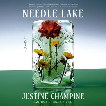 Needle Lake: A Novel