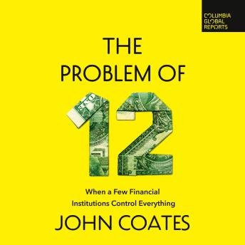 The Problem of Twelve: When a Few Financial Institutions Control Everything