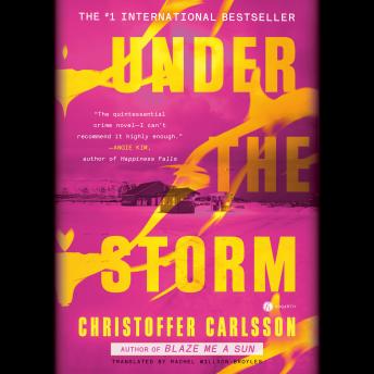 Under the Storm: A Novel