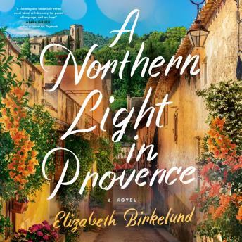 A Northern Light in Provence: A Novel