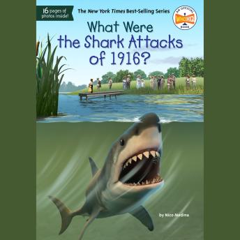 What Were the Shark Attacks of 1916?