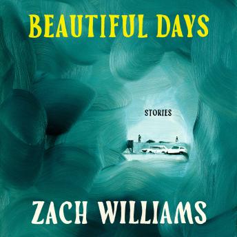 Beautiful Days: Stories