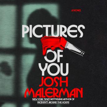 Pictures of You: A Novel
