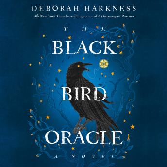 The Black Bird Oracle: A Novel