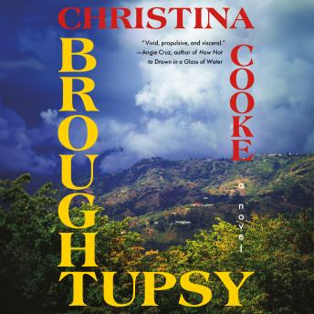 Press Play On The Immersive Full Audiobook Now, Busy Professionals!