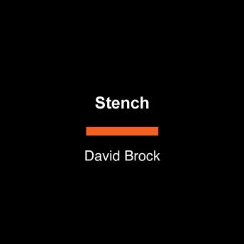 Download Stench: The Making of the Thomas Court and the Unmaking of America by David Brock