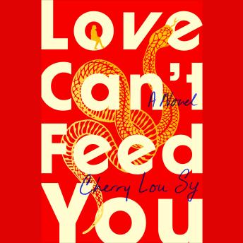 Love Can't Feed You: A Novel