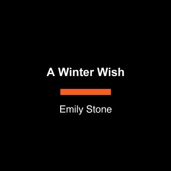 A Winter Wish: A Novel