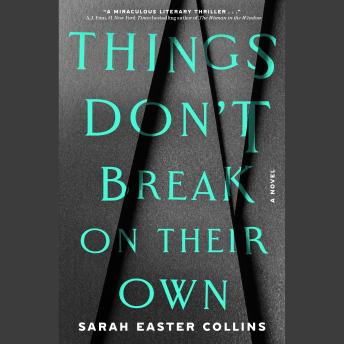Things Don't Break on Their Own: A Novel
