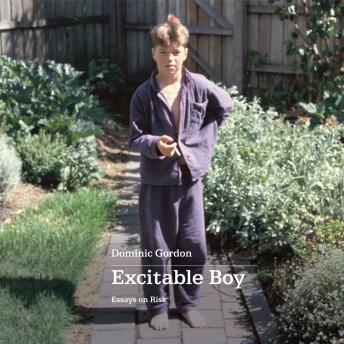 Excitable Boy: Essays on Risk