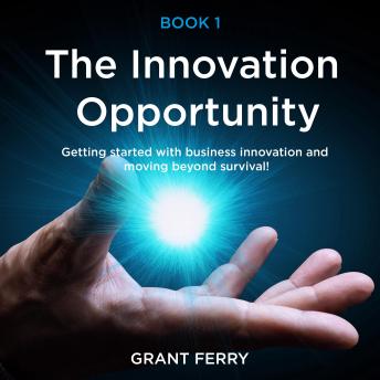 The Innovation Opportunity: Getting started with business innovation and moving beyond survival!