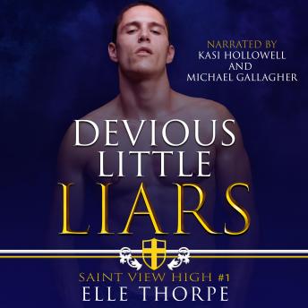 Devious Little Liars, Audio book by Elle Thorpe
