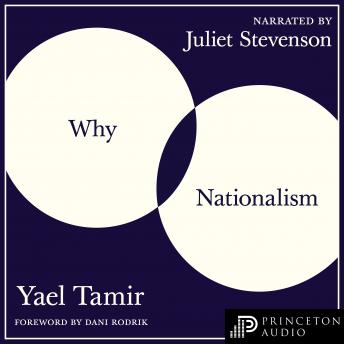 Download Why Nationalism by Yael Tamir