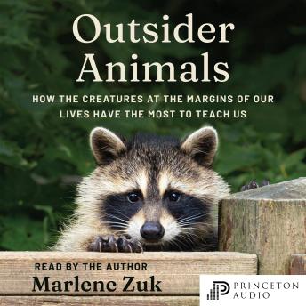 Outsider Animals: How the Creatures at the Margins of Our Lives Have the Most to Teach Us