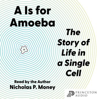 A Is for Amoeba: The Story of Life in a Single Cell