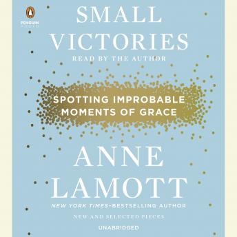 Small Victories: Spotting Improbable Moments of Grace, Audio book by Anne Lamott
