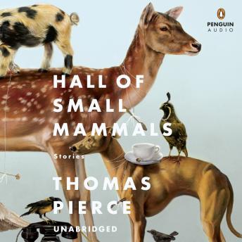 Hall of Small Mammals: Stories