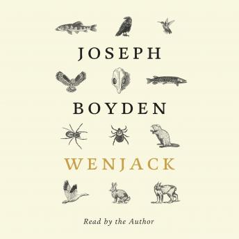 Wenjack, Audio book by Joseph Boyden