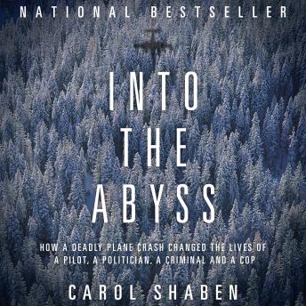 Download Into the Abyss: How a Deadly Plane Crash Changed the Lives of a Pilot, a Politician, a Criminal and a Cop by Carol Shaben